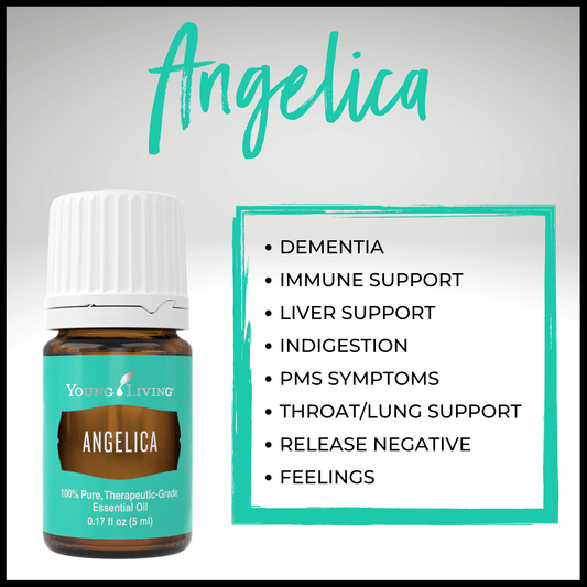 Young Living Angelica Essential Oil - 5ml