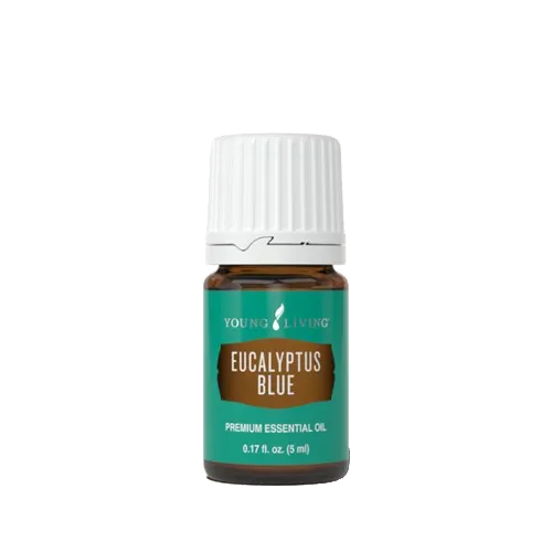 Young Living Eucalyptus Blue Essential Oil - 5ml