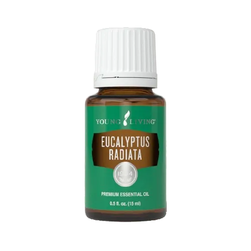 Young Living Eucalyptus Radiata Essential Oil - 15ml