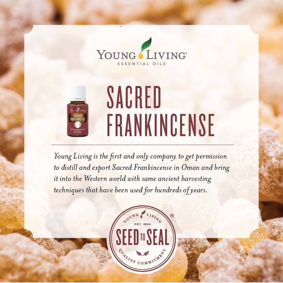 Young Living Sacred Frankincense Essential Oil