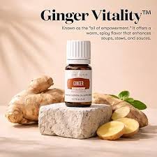 Young Living Ginger Vitality Essential Oil - 5ml