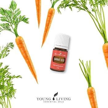 Young Living Carrot Seed Essential Oil - 5ml