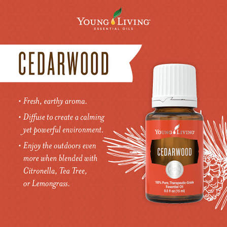 Young Living Cedarwood Essential Oil - 15ml