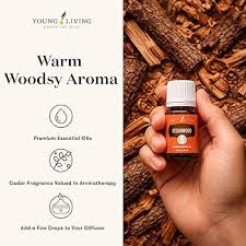 Young Living Cedarwood Essential Oil - 15ml