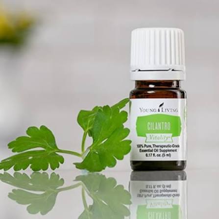 Young Living Cilantro Vitality Essential Oil - 5ml