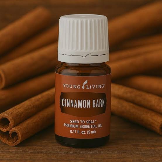 Young Living Cinnamon Bark Essential Oil - 5ml