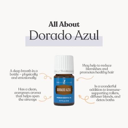 Young Living Dorado Azul Essential Oil - 5ml