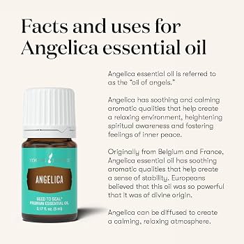 Young Living Angelica Essential Oil - 5ml