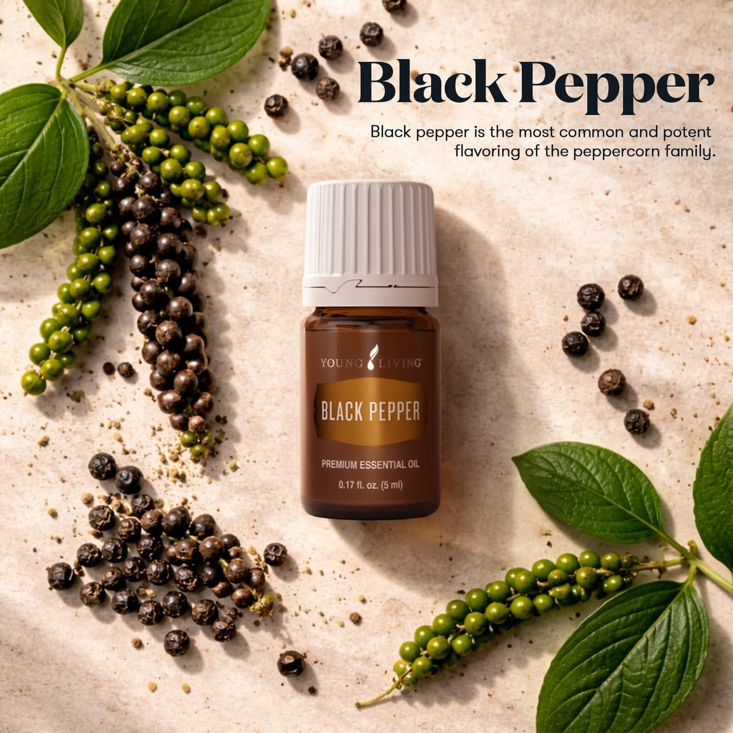Young Living Black Pepper Essential Oil - 5ml