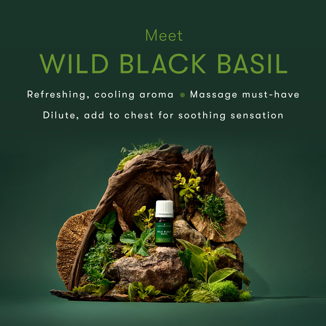 Young Living Expedition Trio Collection