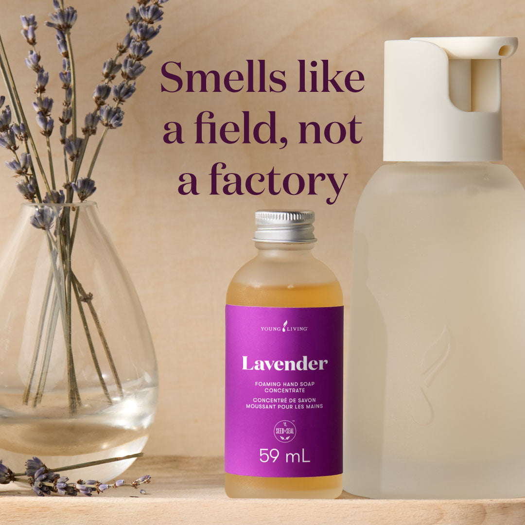 Young Living Foaming Hand Soap Concentrate Collection