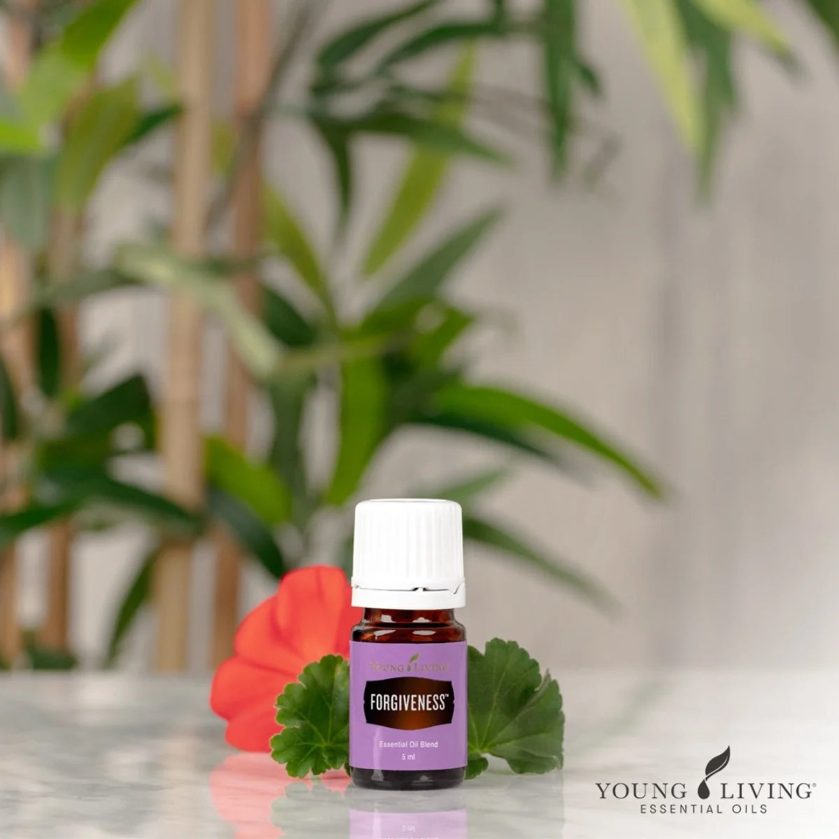 Young Living Forgiveness Essential Oil Blend - 5ml