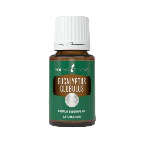 Young Living Eucalyptus Globulus Essential Oil - 15ml