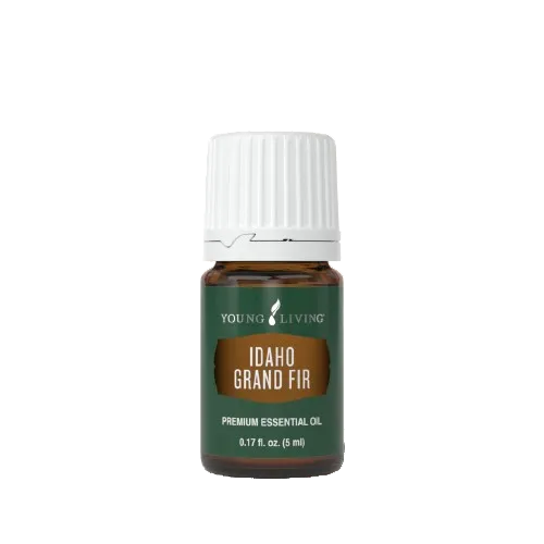 Young Living Idaho Grand Fir Essential Oil - 5ml