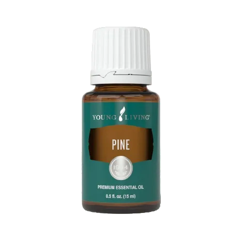 Young Living Pine Essential Oil - 15ml
