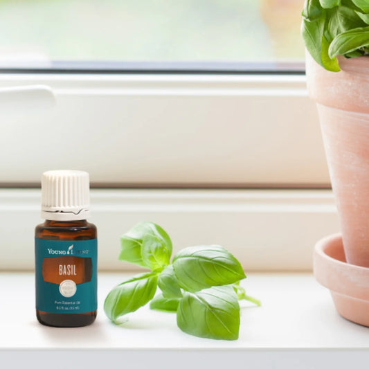 Young Living Basil Essential Oil - 15ml