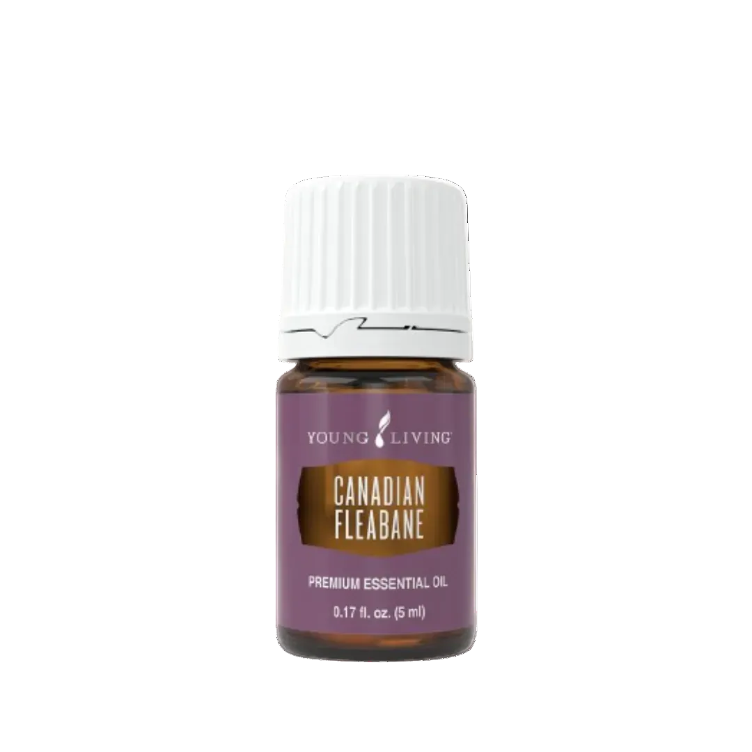Young Living Canadian Fleabane Essential Oil - 5ml