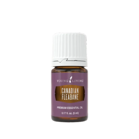 Young Living Canadian Fleabane Essential Oil - 5ml
