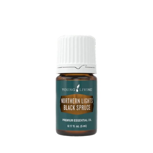 Young Living Northern Lights Black Spruce Essential Oil