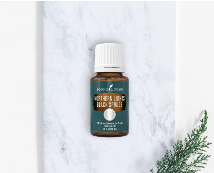 Young Living Northern Lights Black Spruce Essential Oil