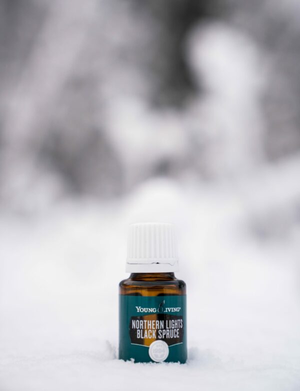 Young Living Northern Lights Black Spruce Essential Oil