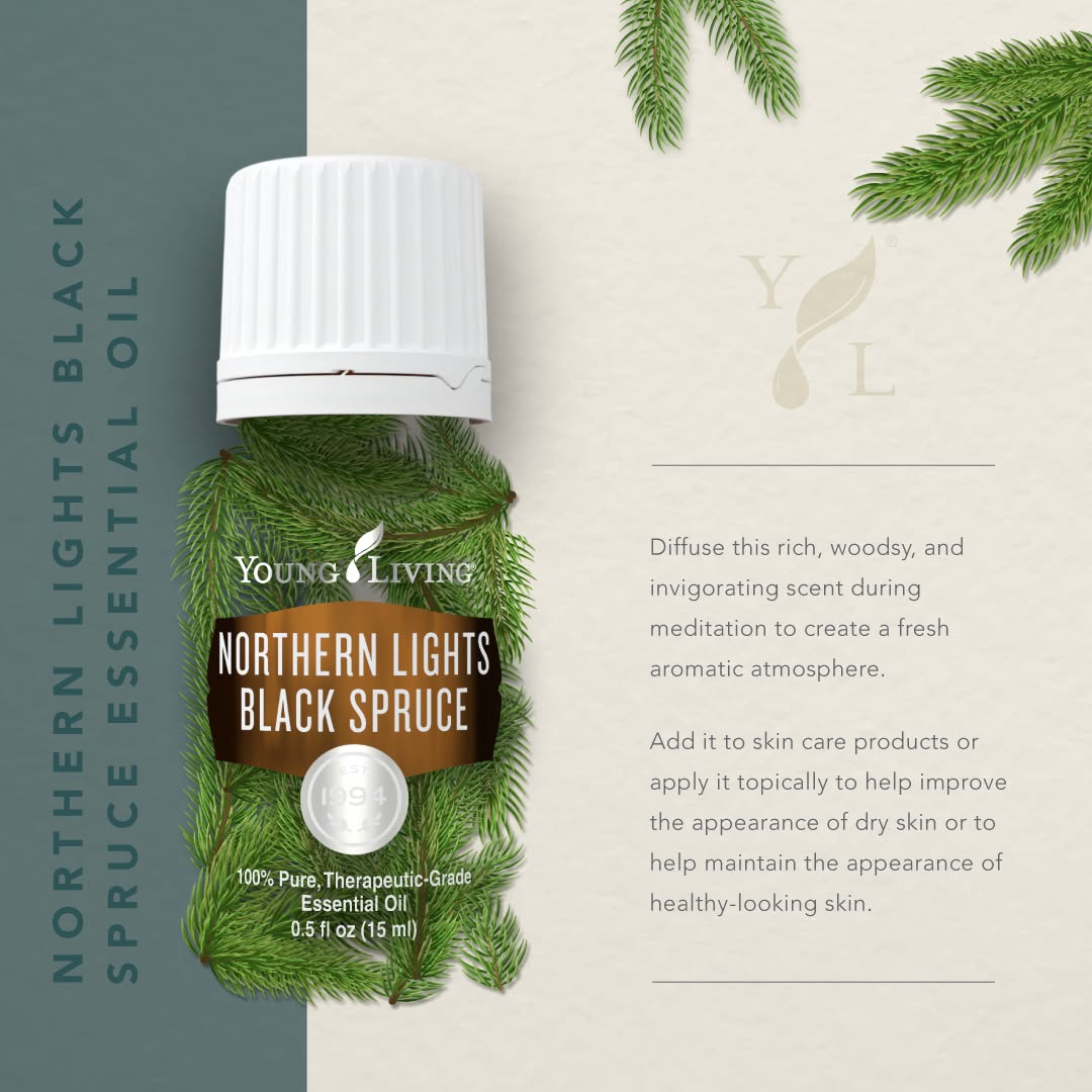 Young Living Northern Lights Black Spruce Essential Oil