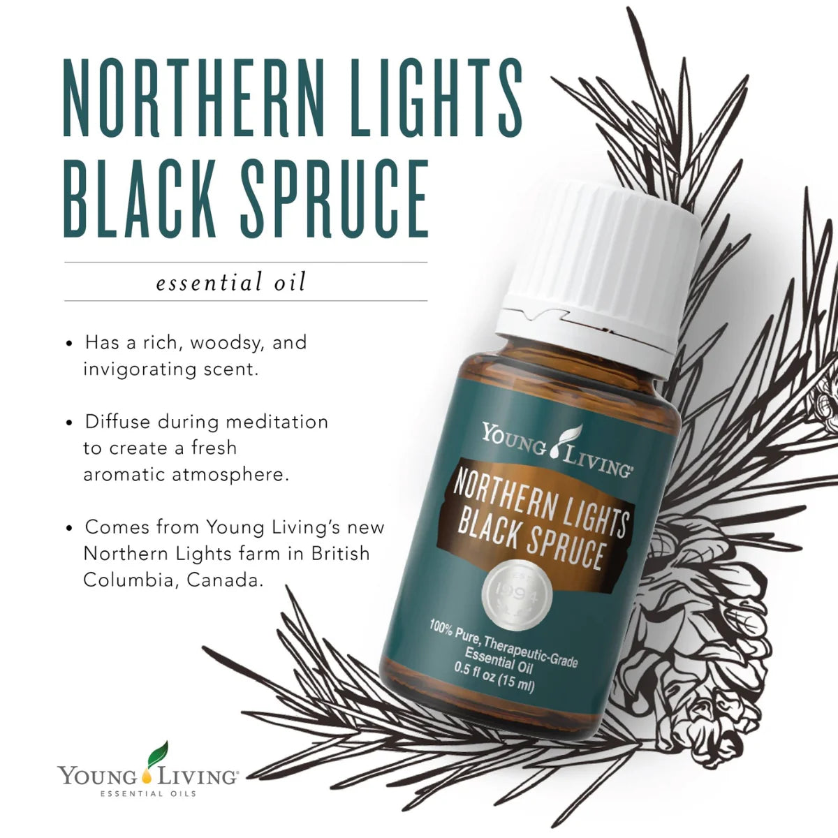 Young Living Northern Lights Black Spruce Essential Oil