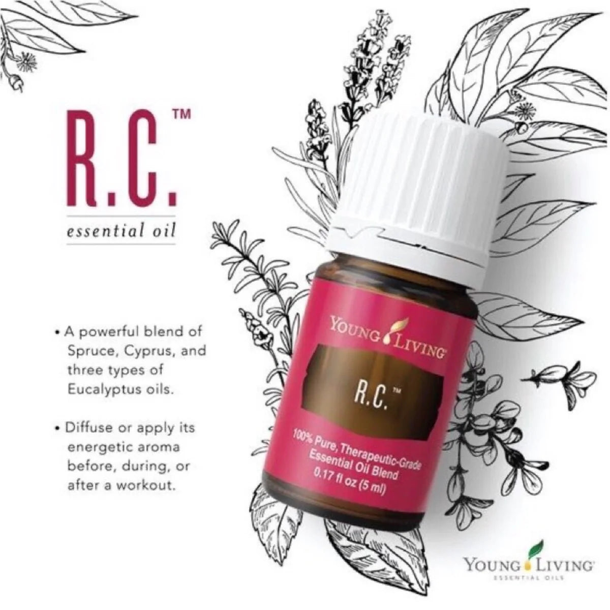 Young Living R.C. Essential Oil Blend