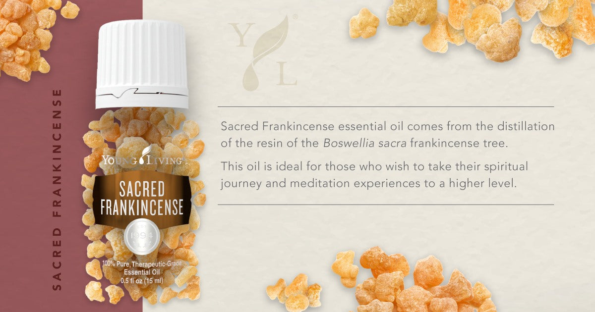 Young Living Sacred Frankincense Essential Oil