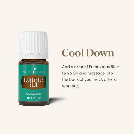 Young Living Eucalyptus Blue Essential Oil - 5ml