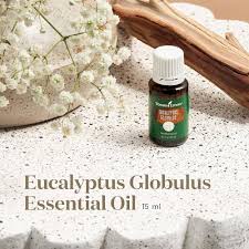 Young Living Eucalyptus Globulus Essential Oil - 15ml