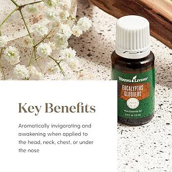 Young Living Eucalyptus Globulus Essential Oil - 15ml