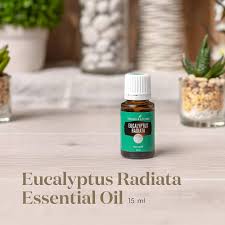 Young Living Eucalyptus Radiata Essential Oil - 15ml