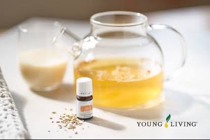Young Living Fennel Vitality Essential Oil - 5ml