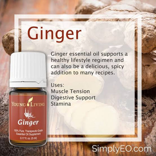 Young Living Ginger Essential Oil - 5ml