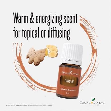 Young Living Ginger Essential Oil - 5ml