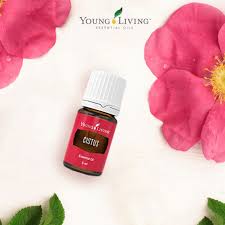 Young Living Cistus Essential Oil - 5ml
