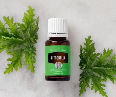 Young Living Citronella Essential Oil - 15ml