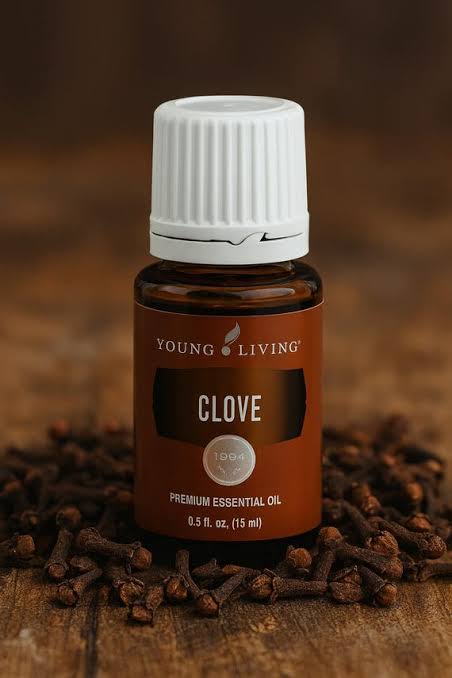 Young Living Clove Essential Oil - 15ml