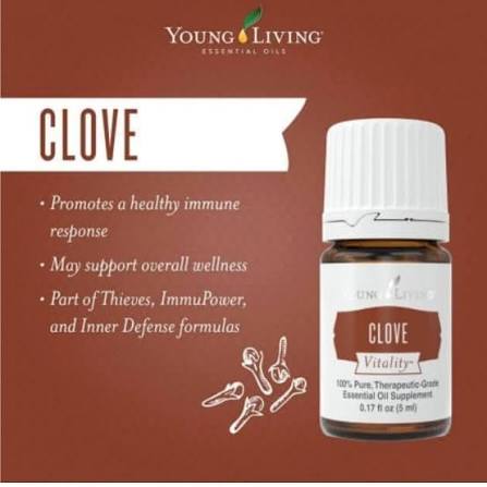 Young Living Clove Vitality Essential Oil - 5ml