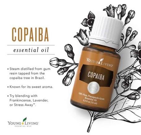Young Living Copaiba Essential Oil - 15ml