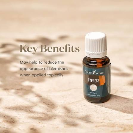 Young Living Cypress Essential Oil - 15ml
