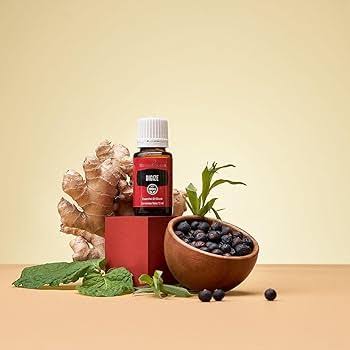 Young Living DiGize Essential Oil Blend - 15ml