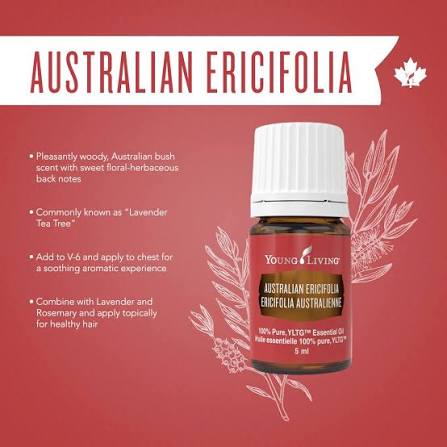 Young Living Australian Ericifolia Essential Oil - 5ml