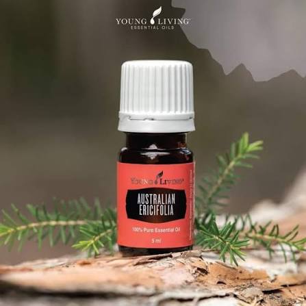 Young Living Australian Ericifolia Essential Oil - 5ml