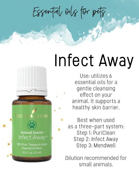 Young Living Animal Scents - Infect Away Essential Oil Blend - 15ml